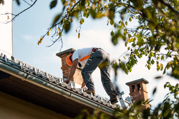 Steel Roofing in Santaquin, UT